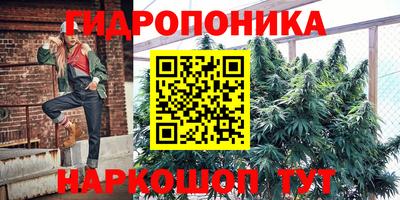 PSILOCYBIN Канаш
