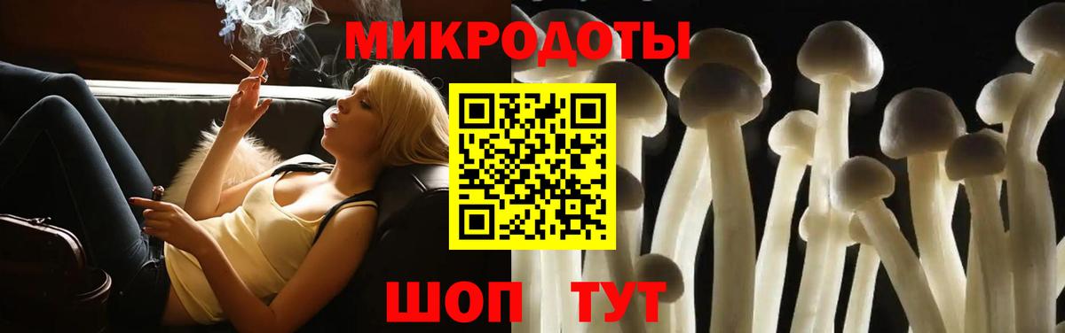 Галлюциногенные грибы GOLDEN TEACHER  Вход с VPN  Мценск  Псилоцибиновые грибы Psilocybe 